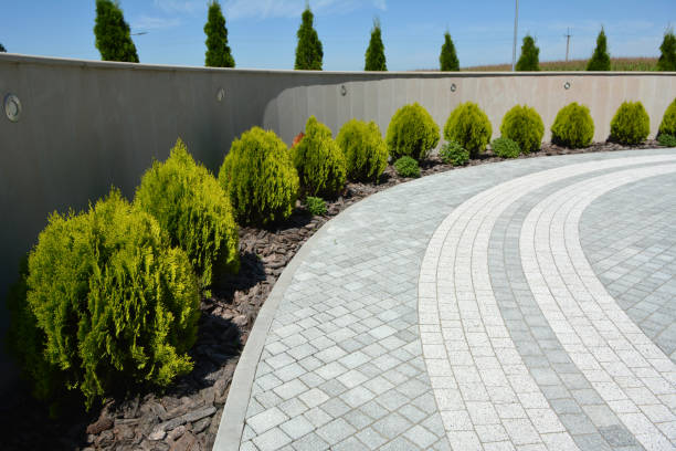Reasons to Select Us for Your Driveway Paving Requirements in Plainfield, NJ